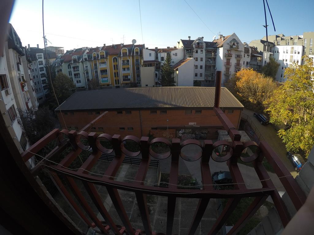 Violet Star Novi Sad